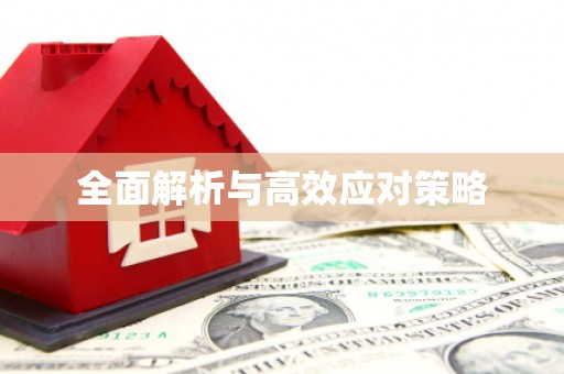 岳麓全面解析与高效应对策略