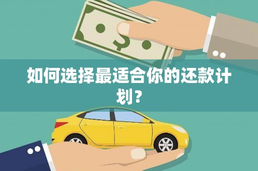 岳麓如何选择最适合你的还款计划？