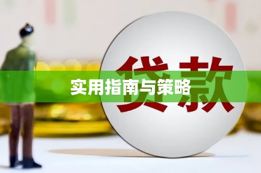 岳麓实用指南与策略