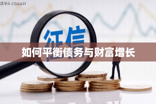 岳麓如何平衡债务与财富增长