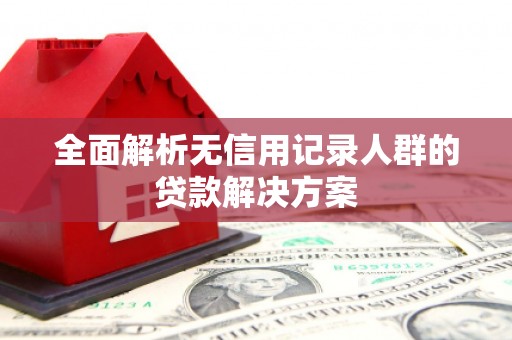 岳麓全面解析无信用记录人群的贷款解决方案