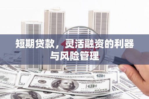 岳麓短期贷款，灵活融资的利器与风险管理