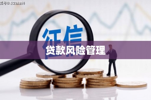 岳麓贷款风险管理
