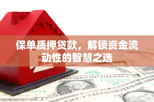 岳麓保单质押贷款，解锁资金流动性的智慧之选