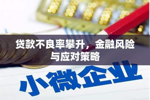 岳麓贷款不良率攀升，金融风险与应对策略