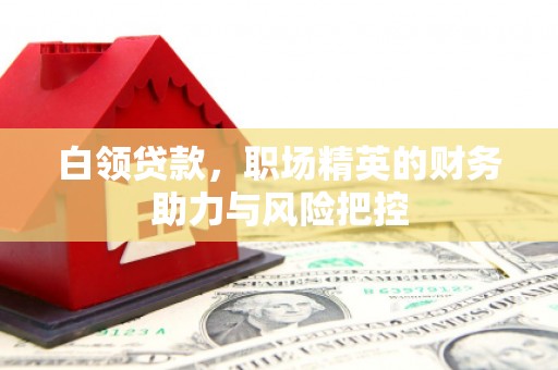 岳麓白领贷款，职场精英的财务助力与风险把控