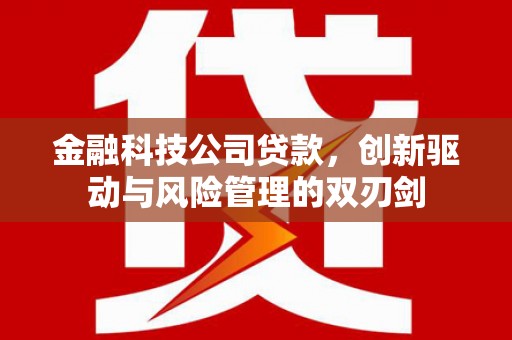 岳麓金融科技公司贷款，创新驱动与风险管理的双刃剑